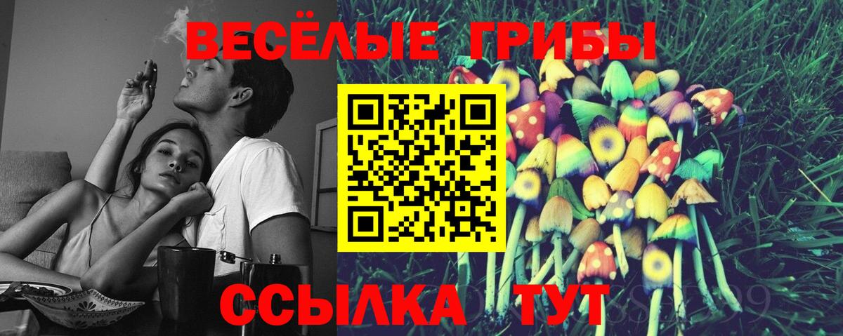 Галлюциногенные грибы мицелий  Псилоцибиновые грибы Psilocybe  Химки  Вход с VPN 